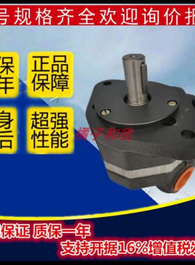 液压油泵 CBN齿轮泵 CBT/N F304 F306 F310 F314 F316 齿轮液压泵