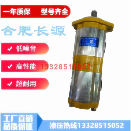 合肥长源双联齿轮油泵CBT