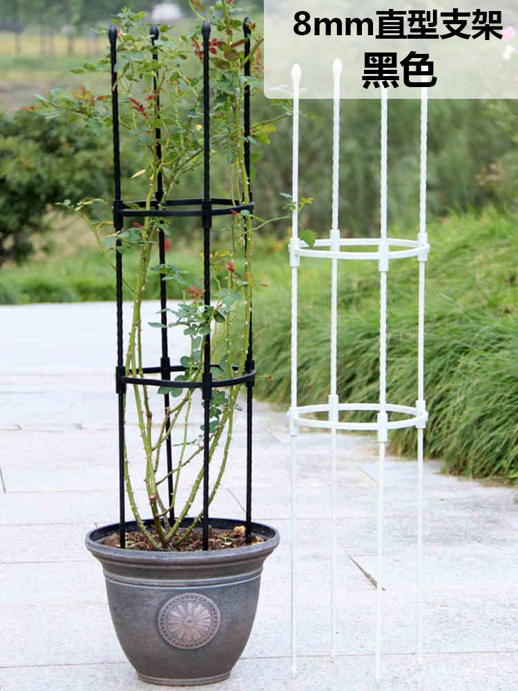 室外花架月季铁线莲黑色8mm