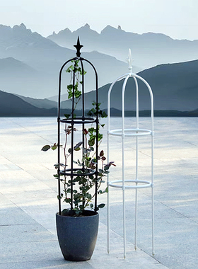 第三代新款爬藤架户外花卉攀爬架花支架月季铁线莲白色室外花架