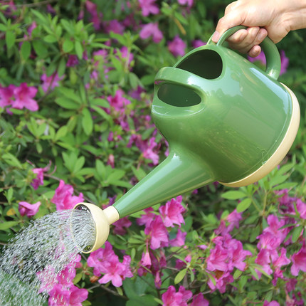 园艺洒水壶Q版加厚塑料环保浇花壶淋水壶家用绿植水壶小花洒