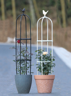 小鸟头园艺爬藤架加粗加厚钢管包塑花支架外花卉攀爬架室外花架