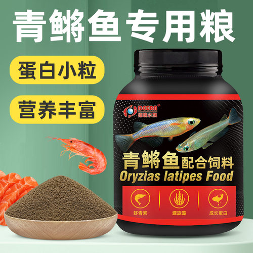 青鳉鱼饲料观背青鳉专用增色鱼食
