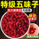 五味子中药材正品 旗舰店东北鲜果非野生子五味果长白山小红果睡眠