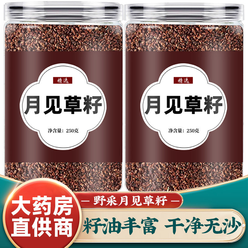 月见草籽500g中药材月见草种子月见草子月见草茶做月见草籽油新货