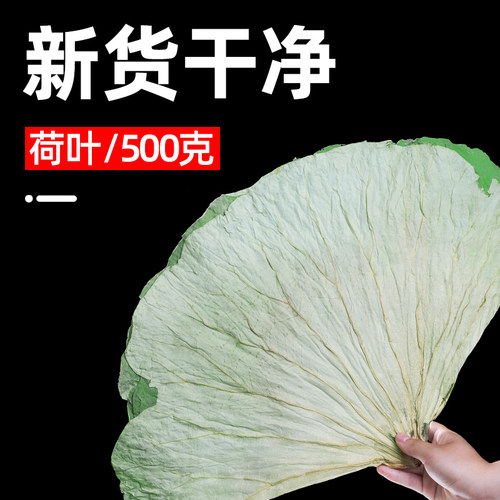 新疆包邮干荷叶片整张微山湖新鲜荷叶干叫花鸡糯米鸡专用荷叶饭粥