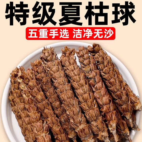 正宗新鲜白毛夏枯草泡水喝中药材