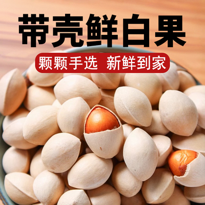 新鲜手选大果银杏果正品旗舰店
