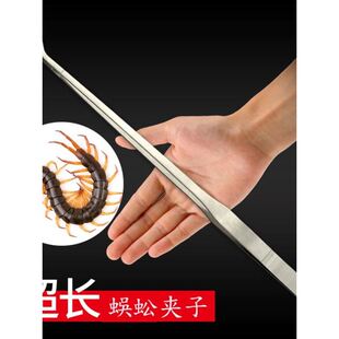 蜈蚣夹子不锈钢镊子超长爬虫蝎子喂食夹抓蜈蚣神器逮夹蜈蚣的夹.