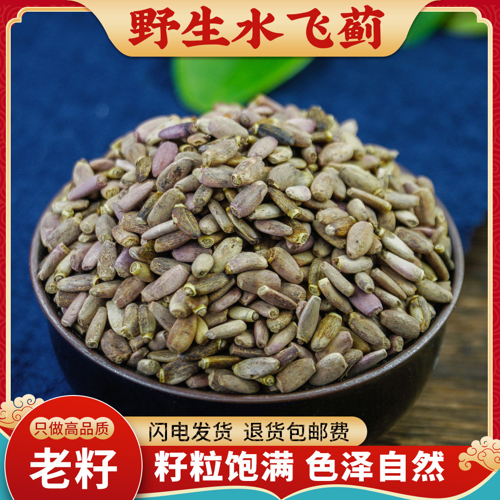 水飞蓟中药材500g克野生水飞蓟籽水飞蓟子水飞蓟果水飞雉奶蓟草药