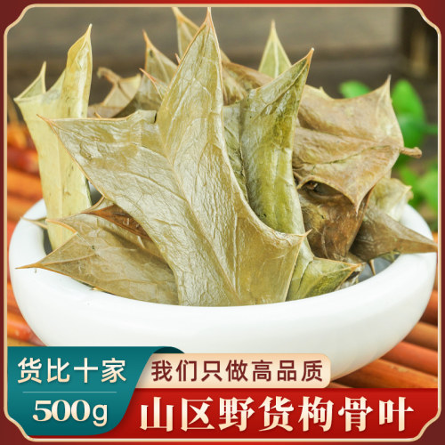 枸骨叶中药材500g山区野货