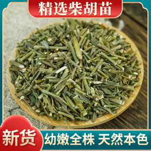 柴胡苗中药材500克硬苗小柴胡苗正品 香柴胡苗新货柴胡苗 北柴胡苗