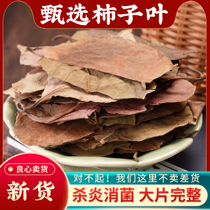 柿子叶中药材500g柿子叶茶新鲜干货可打柿子叶粉柿叶霜后柿子树叶