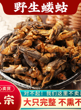 蝼蛄中药500g新货蝼蛄干东北野生蝲蝲蛄干地拉蛄天蝼土狗子蝼蛄粉