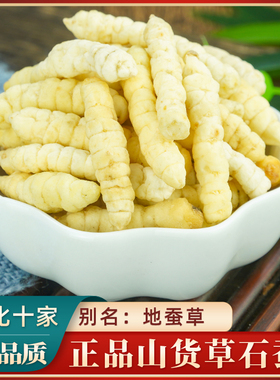 草石蚕中药材500g克地蚕土冬虫草白虫草泽兰根地参云南虫草参正品