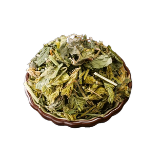 爵床草中药材500克g野生爵床小青草赤眼老母草麦穗癀六角英孩儿草