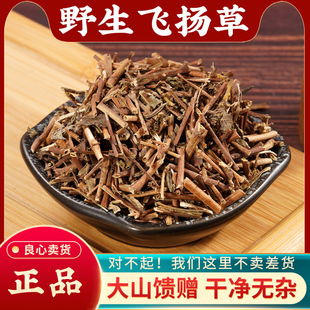 飞扬草中药材500g野生大飞扬草洗澡新鲜高含量正品节节花中草药