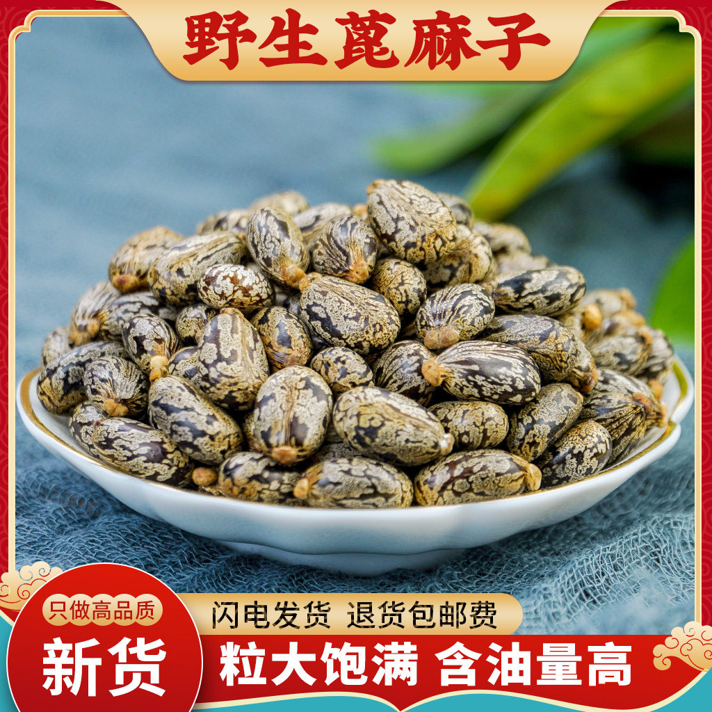 蓖麻子中药材500g克 野生蓖麻籽种子油 新鲜生蓖麻仁中药蓖麻子粉