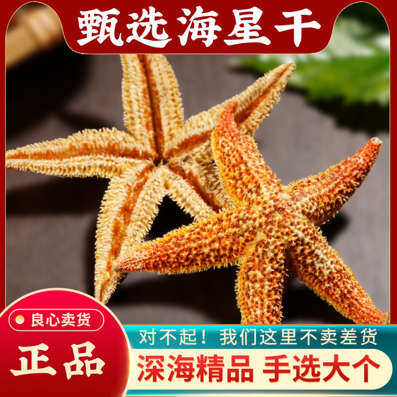 海星中药材500g正宗野生大个海星干海五星泡酒煲汤料海盘新鲜干货