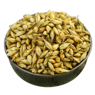 炒麦芽中药材500g槐花大麦茶麦芽回奶茶断奶泡水熟麦芽山楂大麦茶