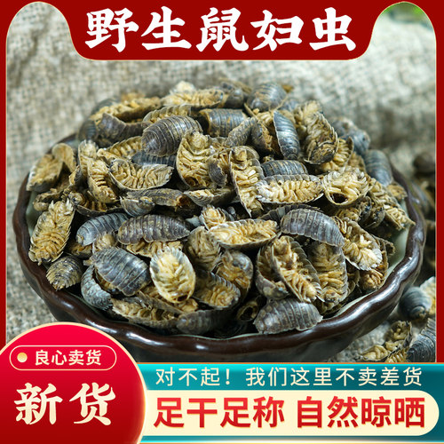 鼠妇虫中药500g野生正品干货
