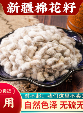 棉花籽药用500g药用棉籽仁新疆棉花子无硫棉花籽种子棉花籽中药