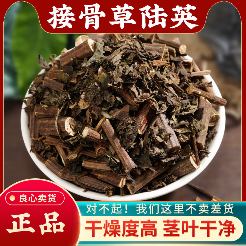 陆英中药材500g新鲜正宗接骨草干货排风藤八棱麻大臭草接骨丹无硫