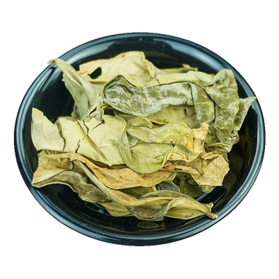 山区野货-天然本色-叶片饱满