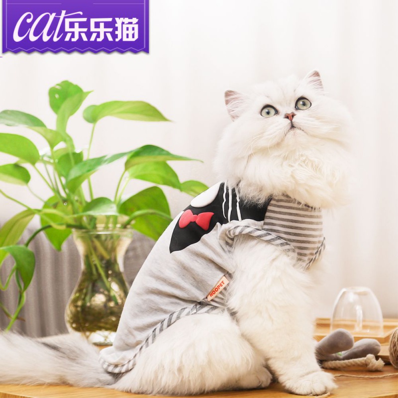 猫猫衣服猫咪衣服加菲猫衣服小猫衣服英短衣服宠物猫