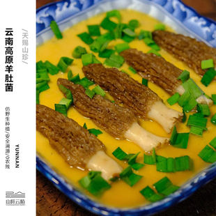 羊肚菌干货云南特产美味蘑菇高海拔种植煲汤食材菌菇汤料包干菌菇