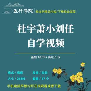 杜宇萧小6人自学视频基础到高级