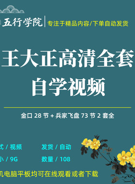 王大正金口诀兵家飞盘传统文化自学高清视频