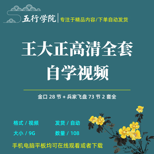 王大正金口诀兵家飞盘传统文化自学高清视频