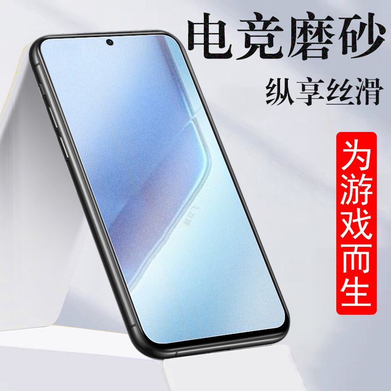 适用iqooneo10pro+/v2463a磨砂膜