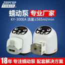 300EA蠕动泵小型实验室24v滴定计量水泵小流量灌装 杰恒KY 机
