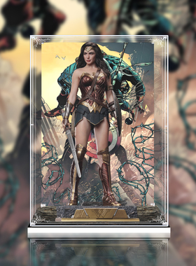 适用Prune1Studio 超蝙大战神奇女侠手办雕像专用展示盒收纳防尘