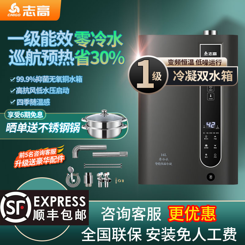 志高一级能效燃气热水器家用天然气零冷水水伺服恒温水气双调16L
