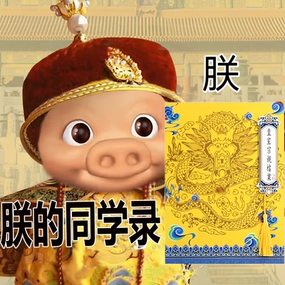 皇亲国戚权威同学录豪华抽象版搞笑小众风沙雕显眼包不撞款活页小学生六年级2025年新款男生男孩成长纪念册