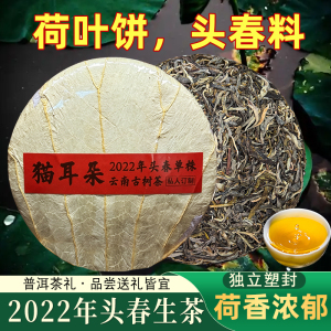 2022猫耳朵古树普洱生茶饼勐海