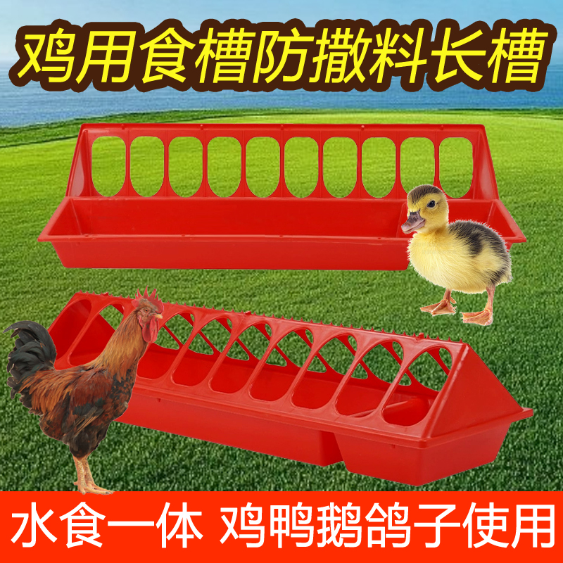 鸡食槽水槽一体新款长方形大号鸡专用防刨防撒防溅喂食器家用食槽