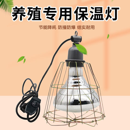 养殖保温灯鸡鸭鹅小猪保温灯家用养殖取暖灯防水防爆取暖灯灯泡