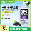 康之味桑葚汁200ml 3听鲜果原榨NFC无添加纯果汁桑椹原浆饮品整箱