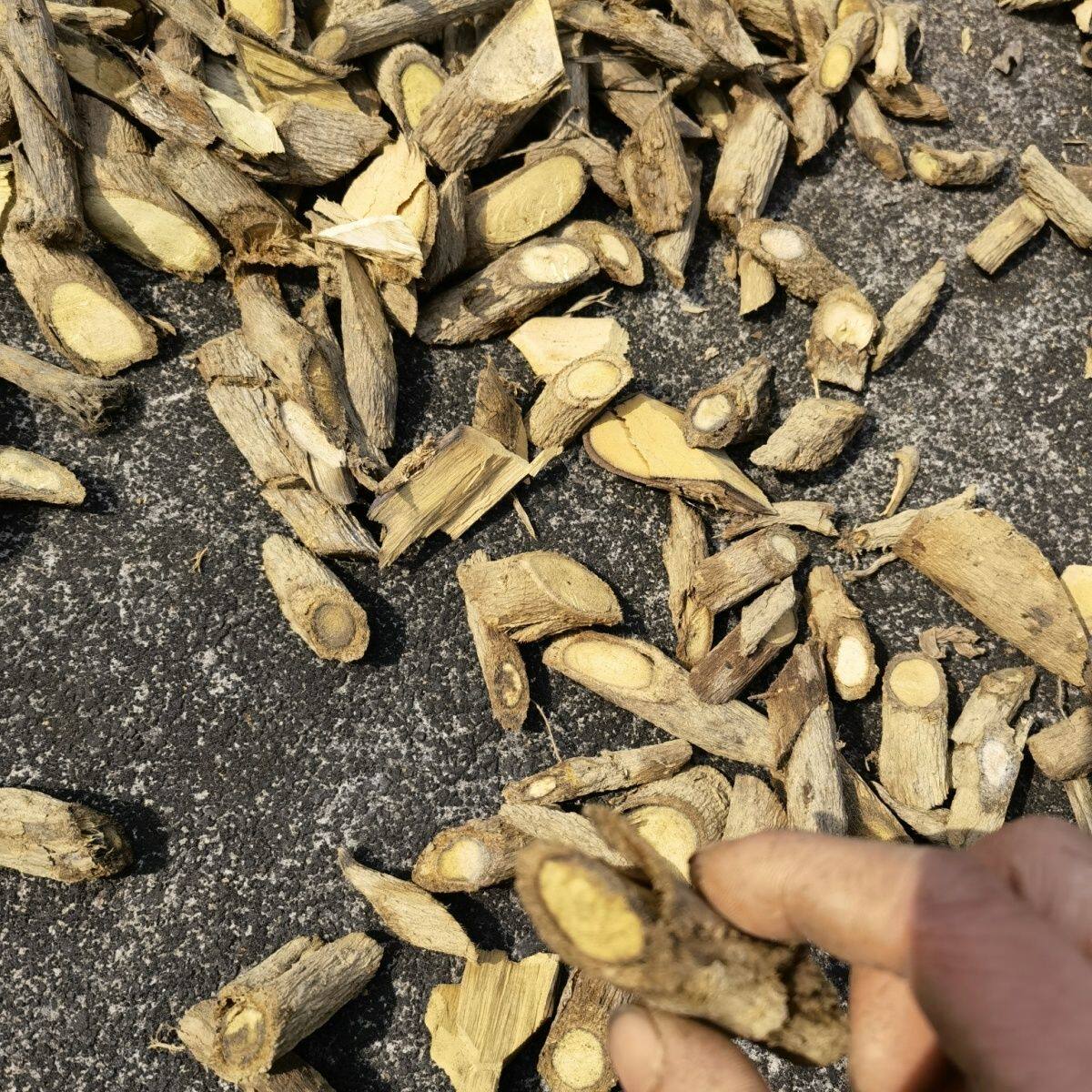 野生正品猫尾木根云南特产羊肚菌煲汤小碗耳无根干货纯根部