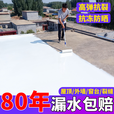 屋顶外墙裂缝专用修补材料