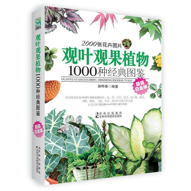 【正版书】 观叶观果植物1000种经典图鉴 徐晔春　编著 吉林科学技术出版社