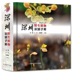 王晖 蒋露 深圳野生植物识别手册 杨蕾蕾 正版
