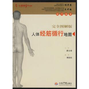 【正版书】 人体经筋循行地图 薛立功 主审 人民军医出版社