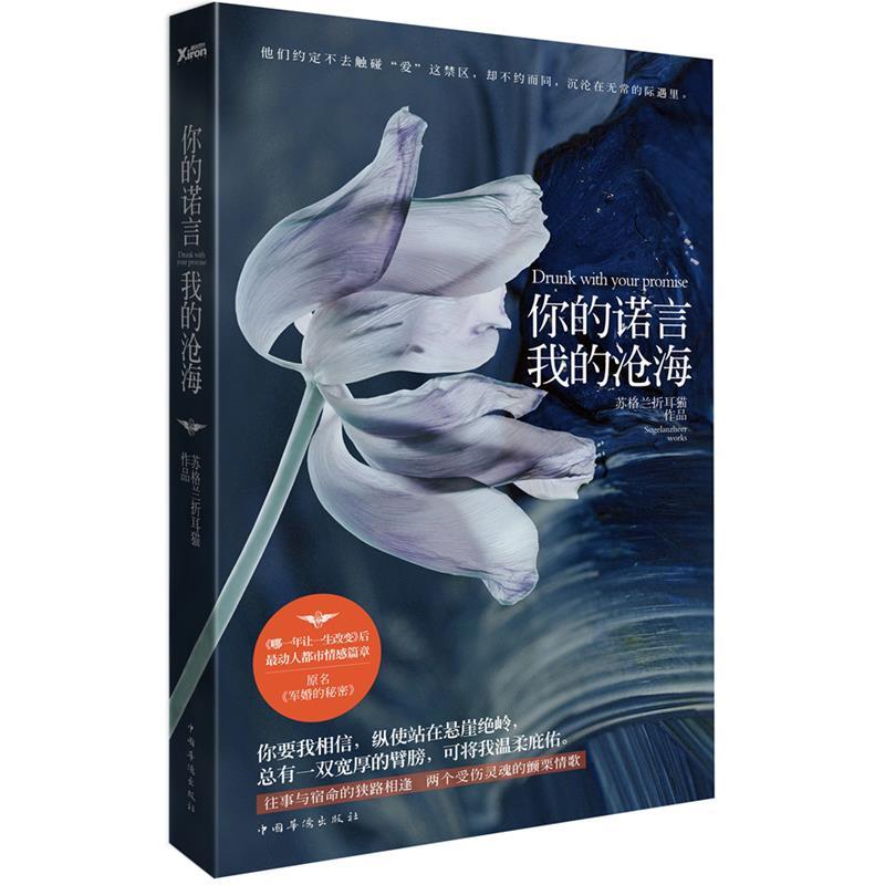 【正版】你的诺言我的沧海 苏格兰折耳猫