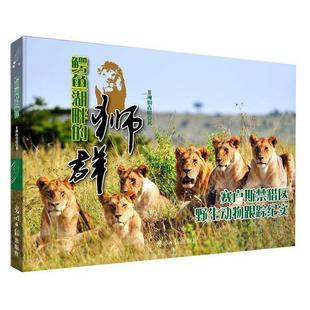 正版 非洲 鳄鱼湖畔 赛卢斯禁猎区野生动物跟踪纪实 青山 狮群