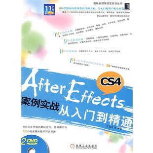 CS4案例实战从入门到精通 Effects After 王红卫 正版